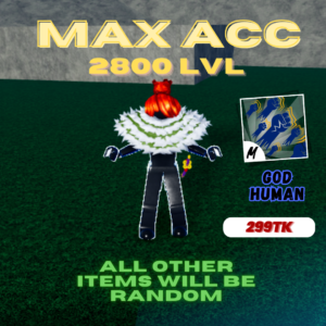 Bloxfruits Max Account